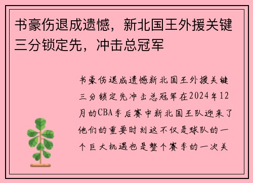 书豪伤退成遗憾，新北国王外援关键三分锁定先，冲击总冠军